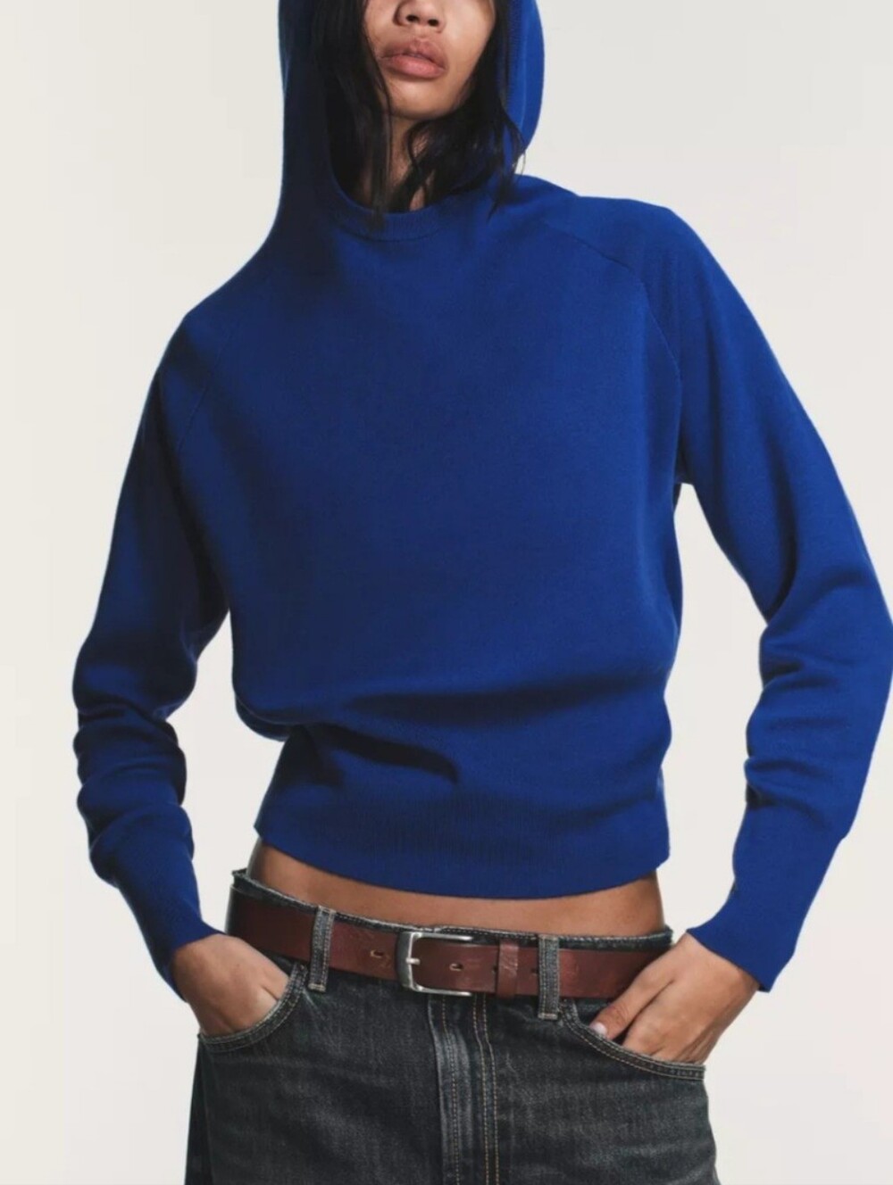 Zara Women  Knit Hooded Jumper Color Bluish Size M